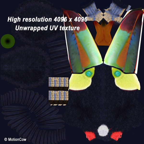3d flying toucan - Toucan B ( Flying ) by MotionCow